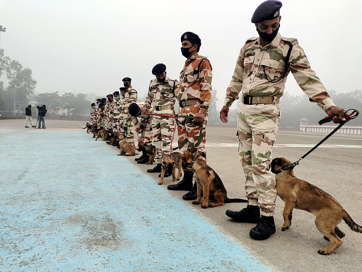 ITBP engg wing to build roads on Sino-India border