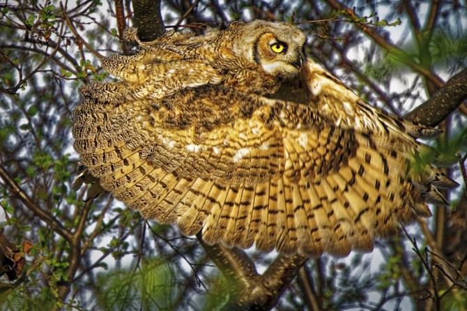 The best photos from the World Nature Photography Awards India News The best photos from the World Nature Photography Awards India News