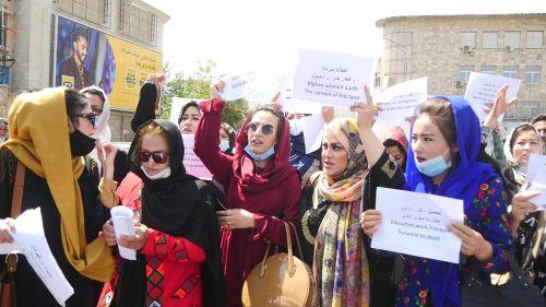 Pic: @ToloNews