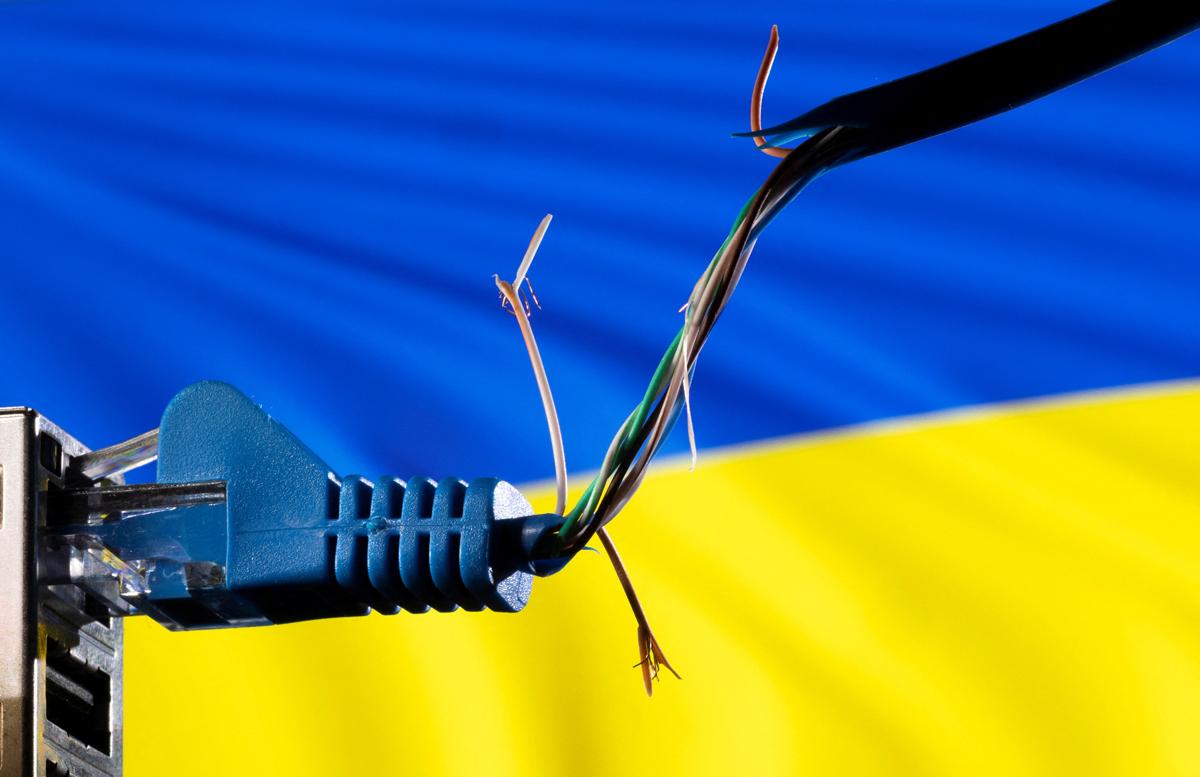 Синий белый желтый провод. Синий белый желтый провод