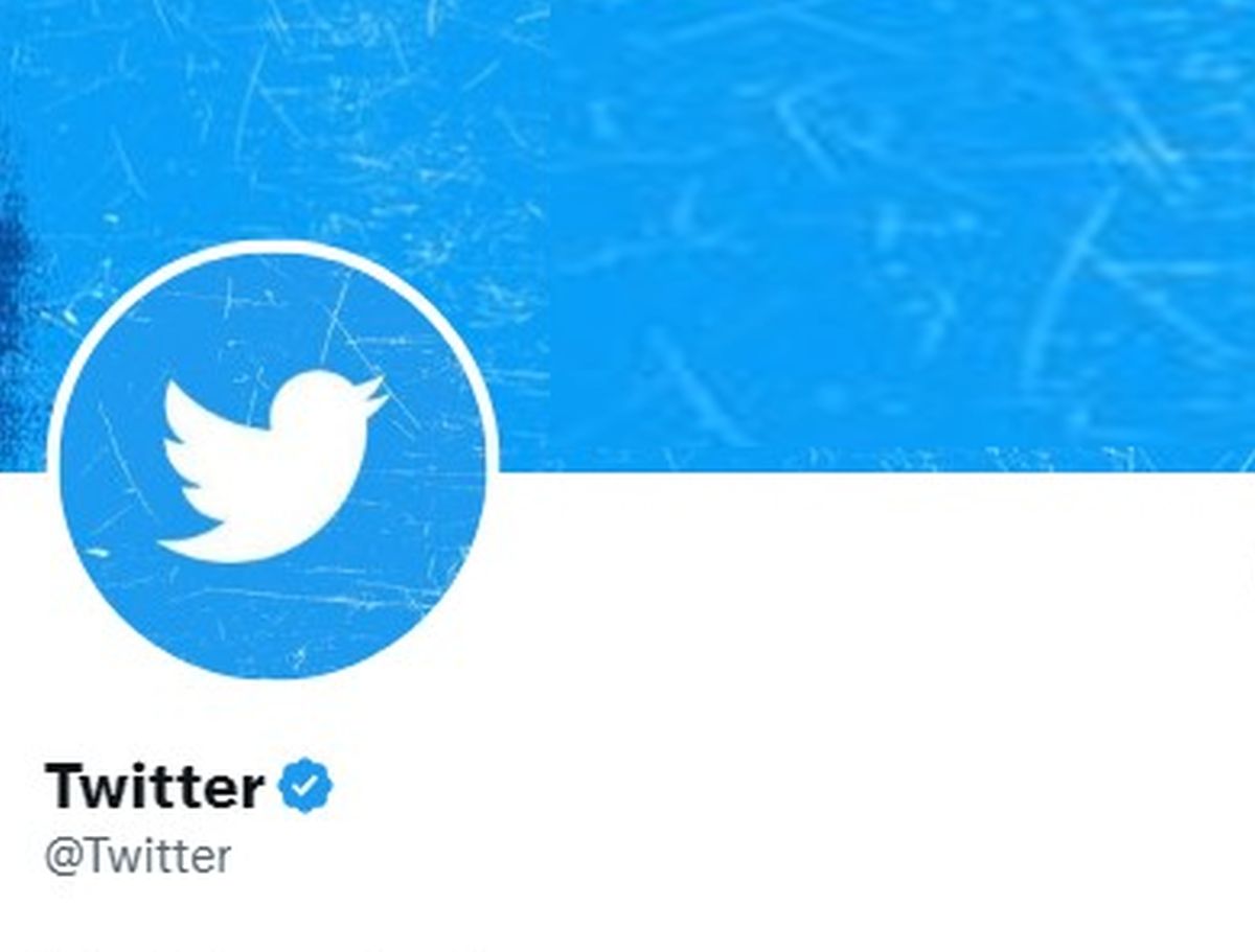 Want a 'blue tick' on Twitter? Get ready to pay $20 a month - Rediff.com India News