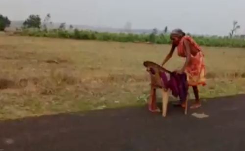 Odisha Shocker 70 Yr Old Woman Walks Miles To Collect Pension 7532