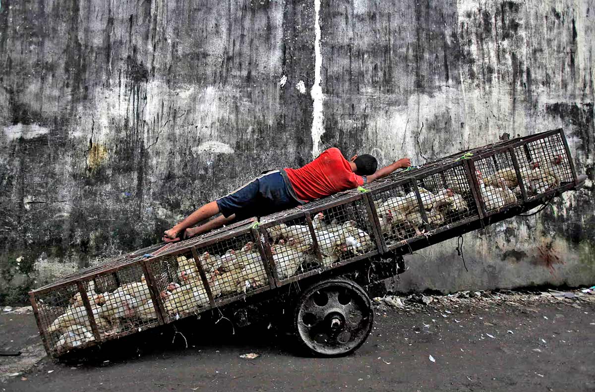 Mumbais Street Life As Not Seen Before India News