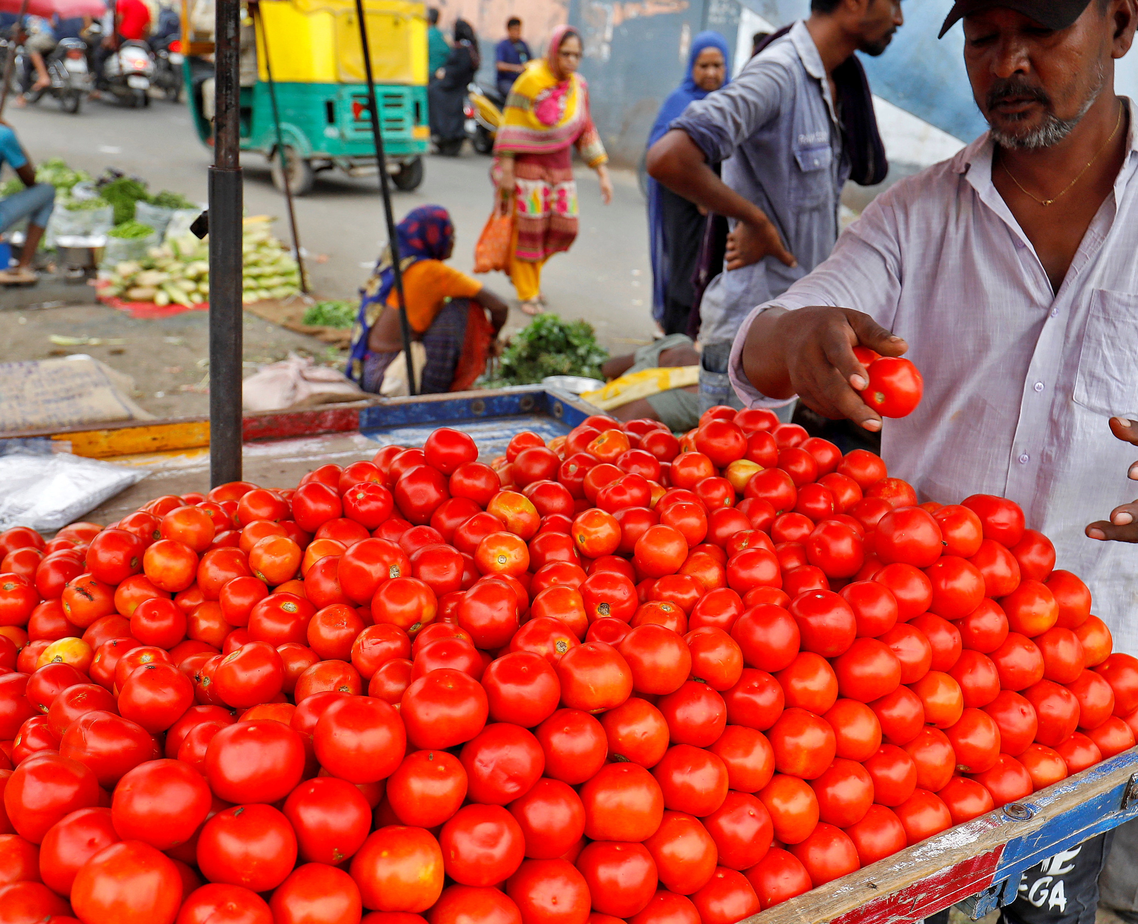 Tomato