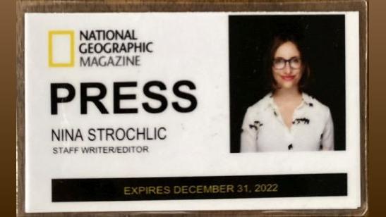 Nina Strochlic shares this image of her press card