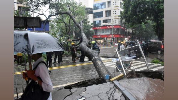 A tree blocks a road in Thane