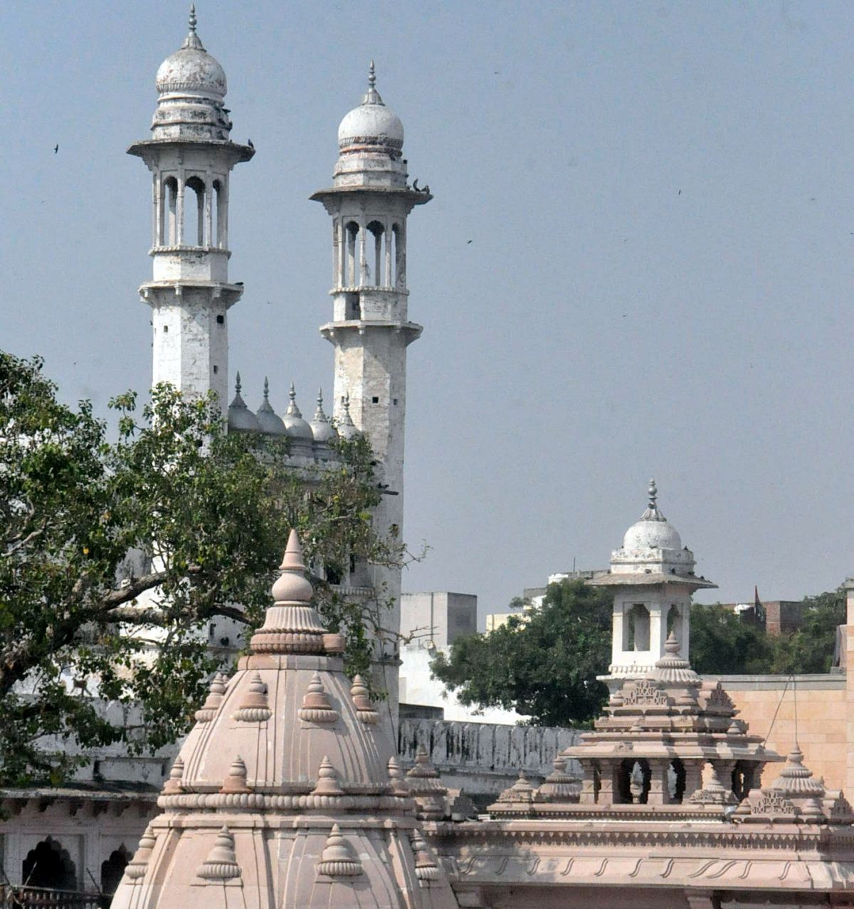 Masjid committee moves SC against Gyanvapi survey