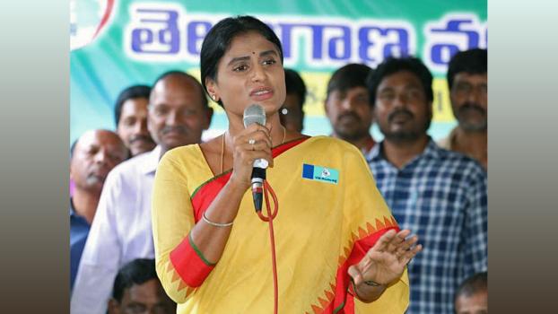Andhra Pradesh Congress Committee president YS Sharmila/File image