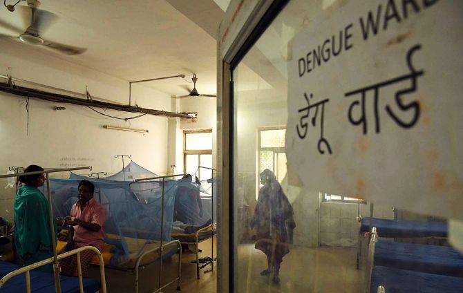 Bihar battles dengue spike, reports over 6,000 cases in Sept; highest in 5  yrs - Rediff.com