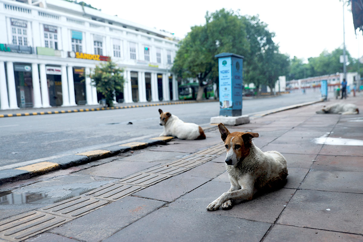 Why Is Delhi Deserted, Guys?