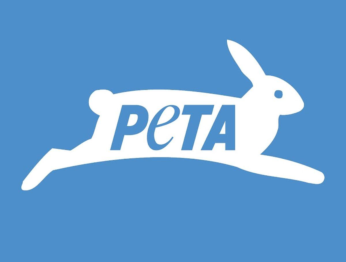 No law to punish sexual violence against animals in new code: PETA