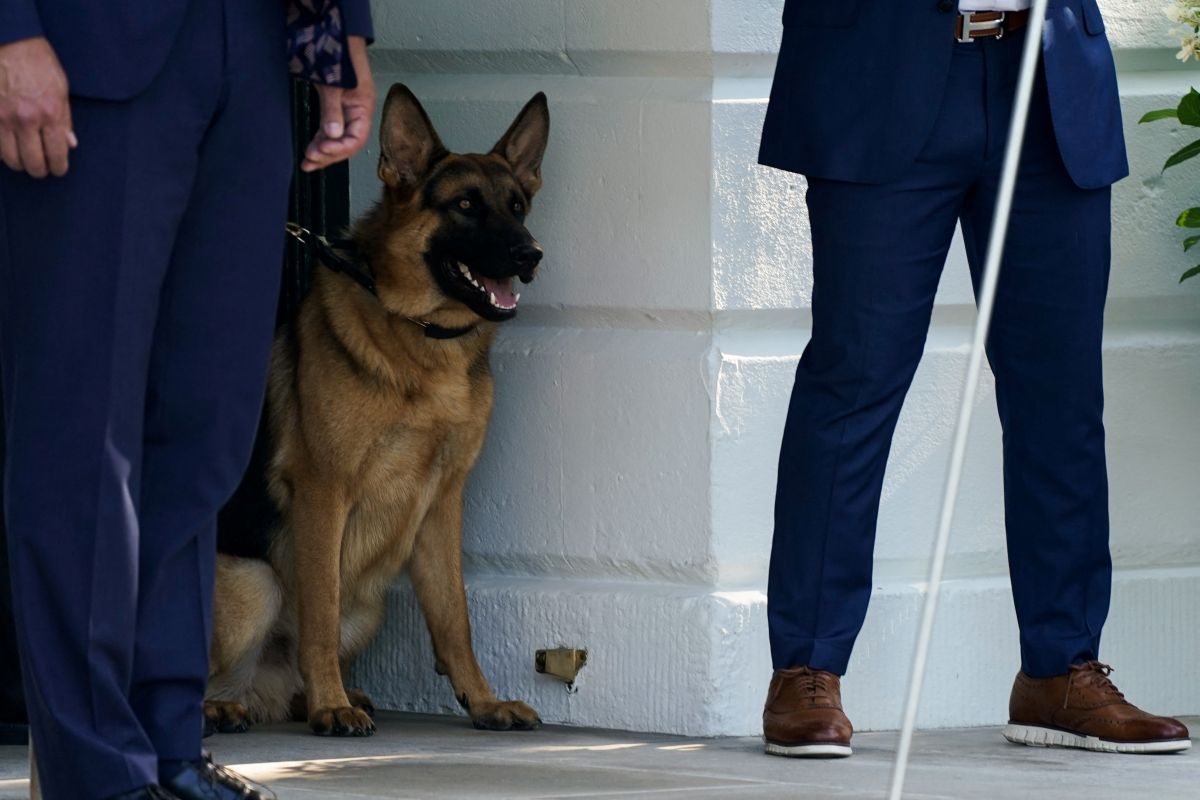 Commander Biden. Pic: Elizabeth Frantz/Reuters