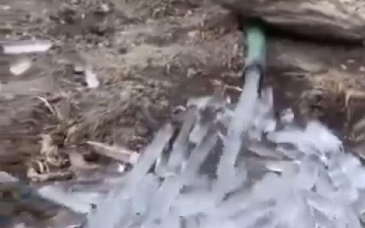 Photo: Kind courtesy @GoHimachal_/X