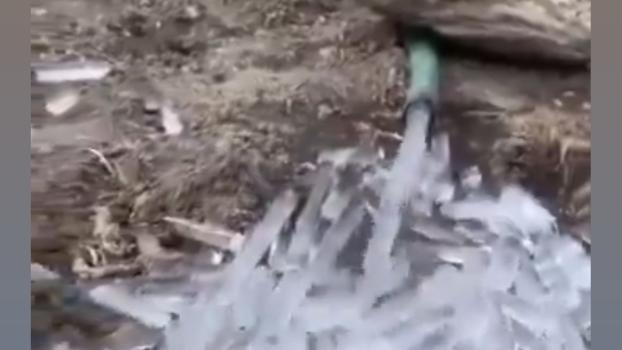 Photo: Kind courtesy @GoHimachal_/X