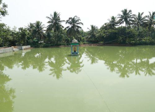 A pond in Kamala Harris' village