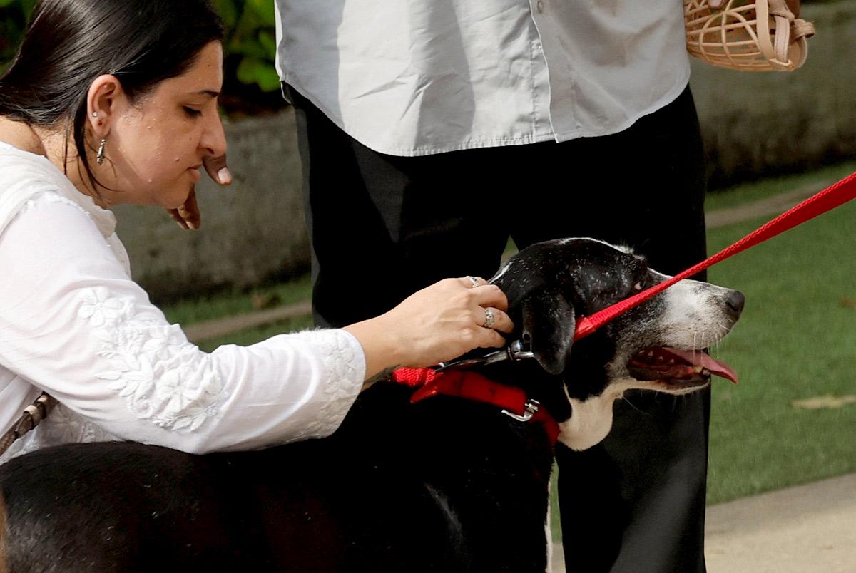 Ratan Tata's pet dog, Goa at NCPA to pay last respect to the industrialist/Francis Mascarenhas/Reuters