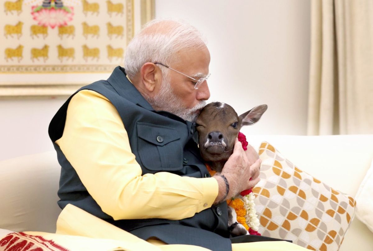 Meet Modi's new family member, 'Deepjyoti'