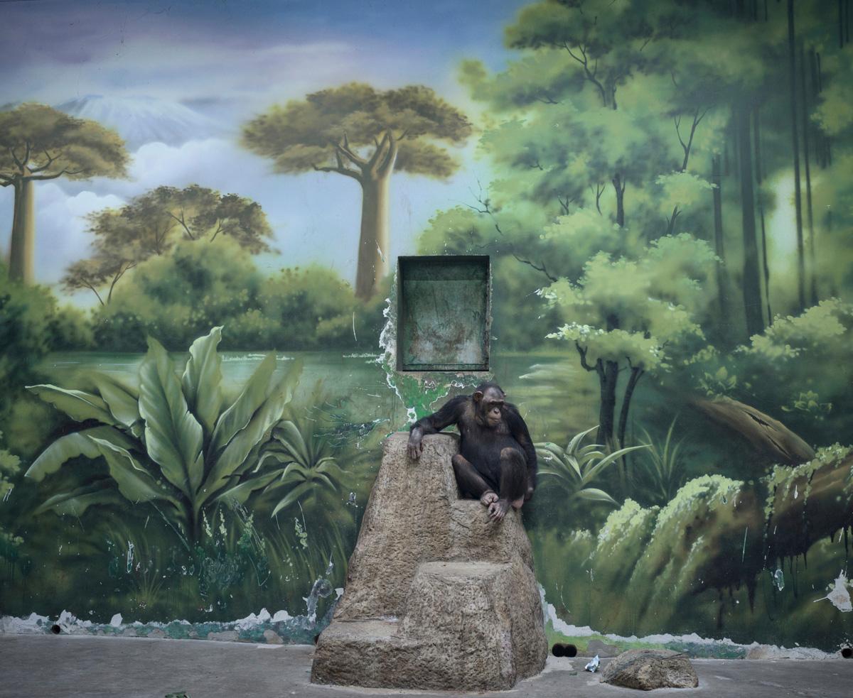  Anthropocene Illusion by Zed Nelson