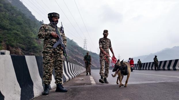 Image only for representation