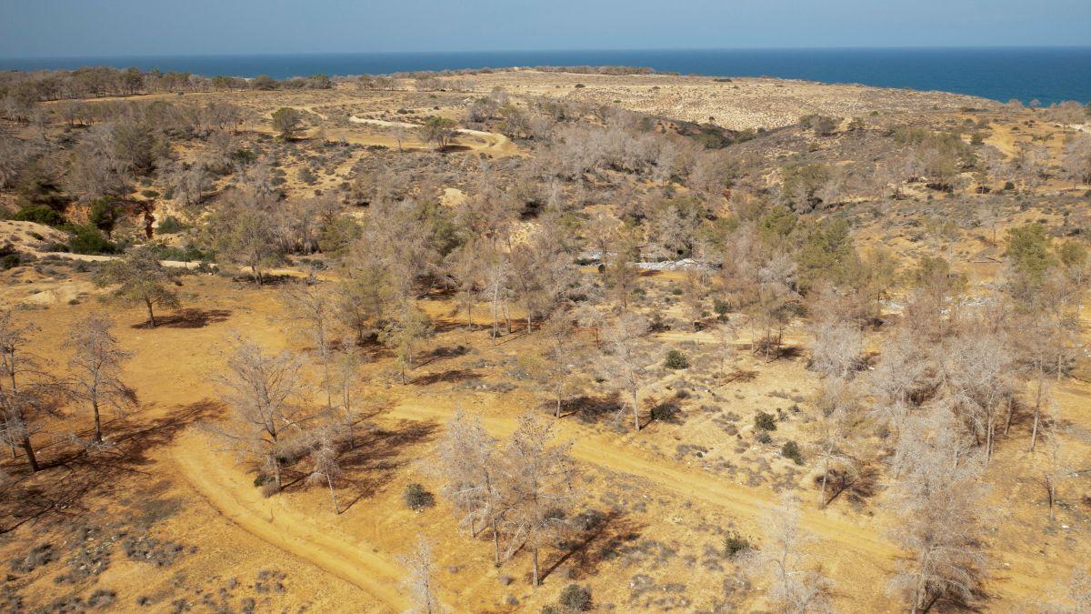 Photograph: Ayman al-Sahili/File Photo/Reuters