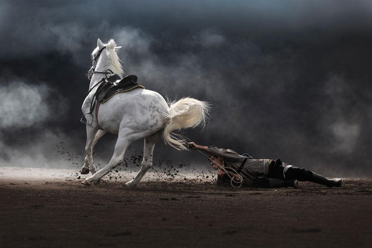 © Partha Pratim Roy/tpoty