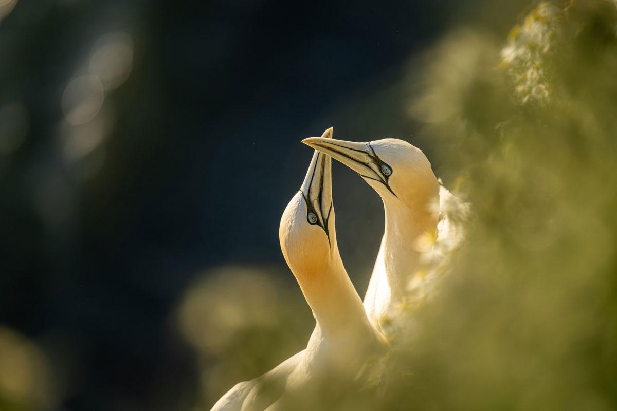 Jamie Smart/tpoty