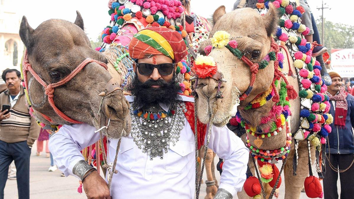 International Camel Festival, Bikaner