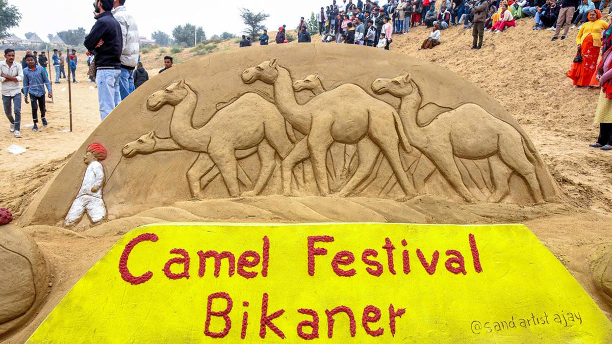 International Camel Festival, Bikaner