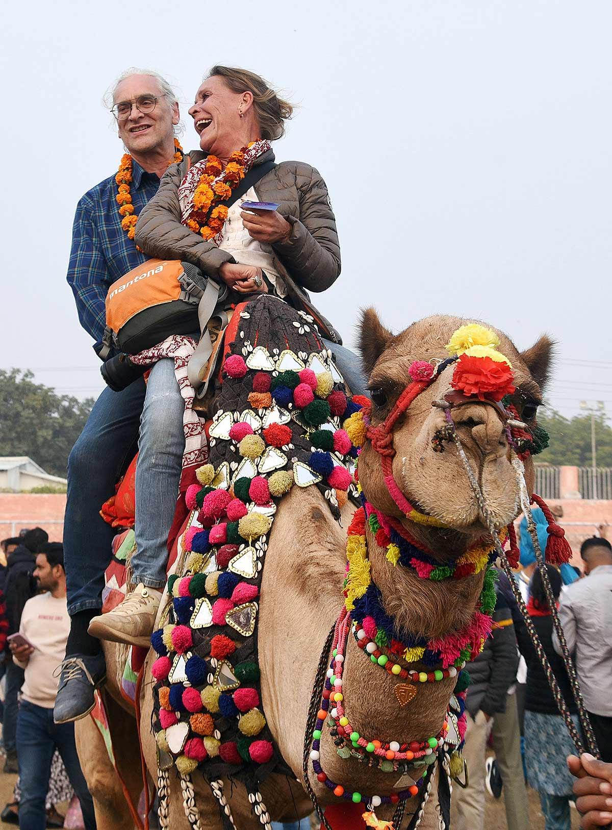 International Camel Festival, Bikaner