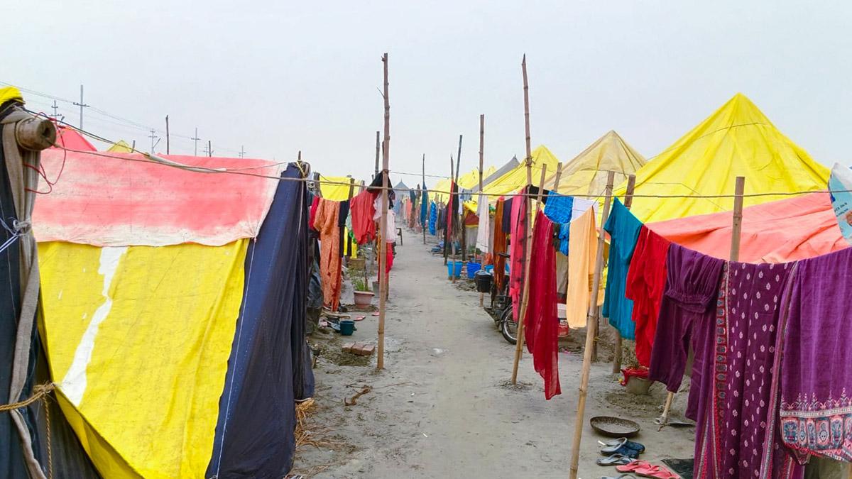 Paush Purnima at Maha Kumbh 2025, in Prayagraj