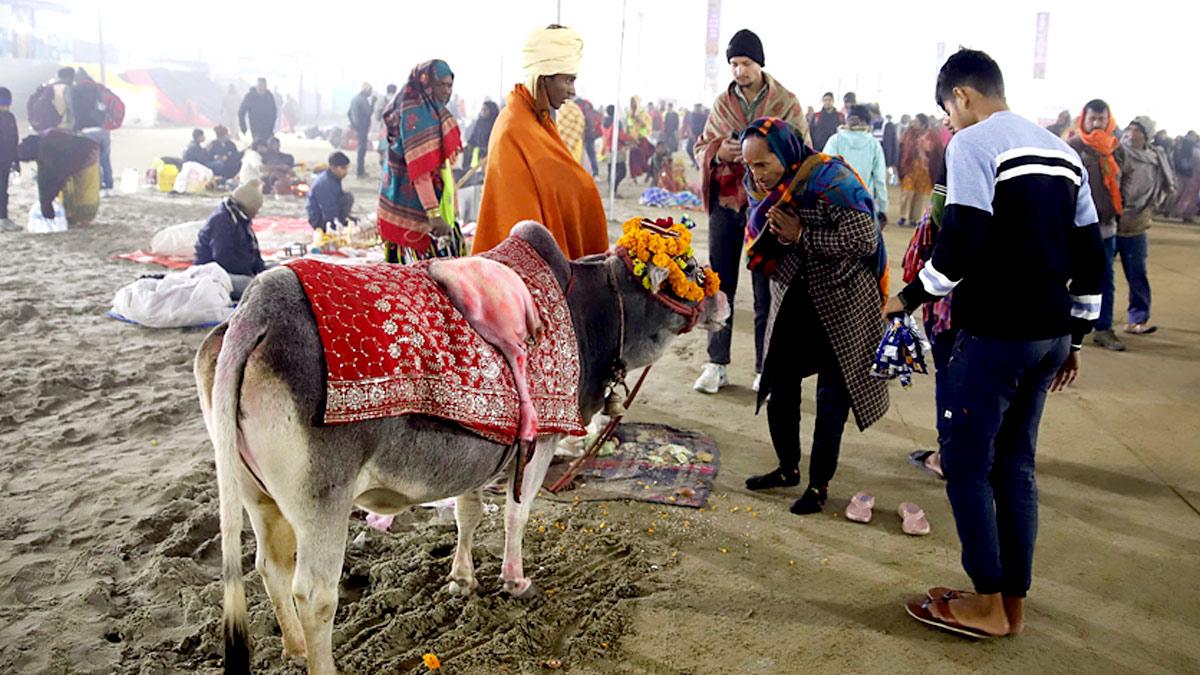 Paush Purnima at Maha Kumbh 2025, in Prayagraj