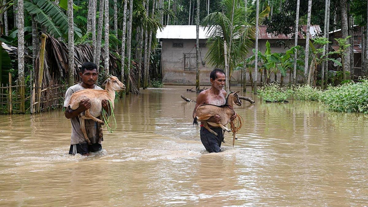 Rain fury wreaks havoc in Northeast; lakhs hit, toll at 36