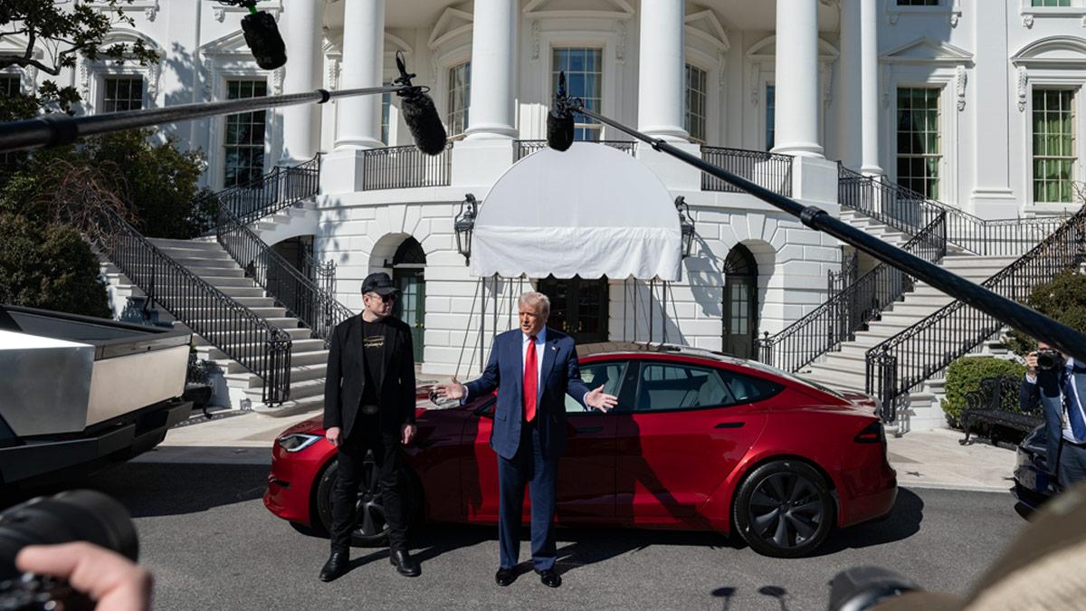 'Don't want a discount': Trump buys Tesla from Musk