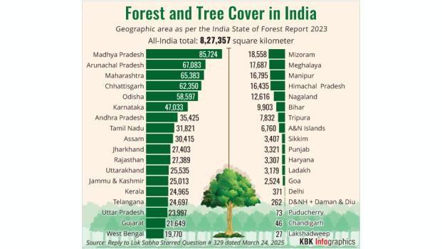 Forest and tree cover in India