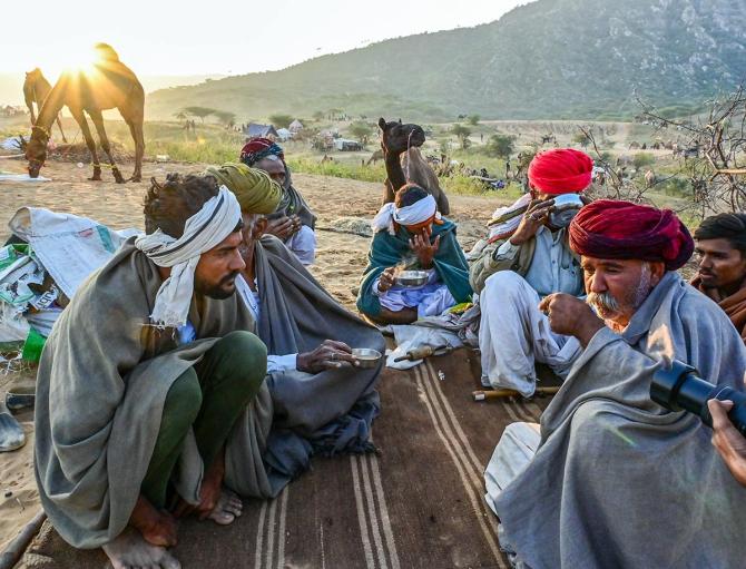 Pushkar Camel Fair 2025 Pushkar Camel Fair 2025