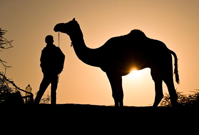 Pushkar Camel Fair 2025 Pushkar Camel Fair 2025