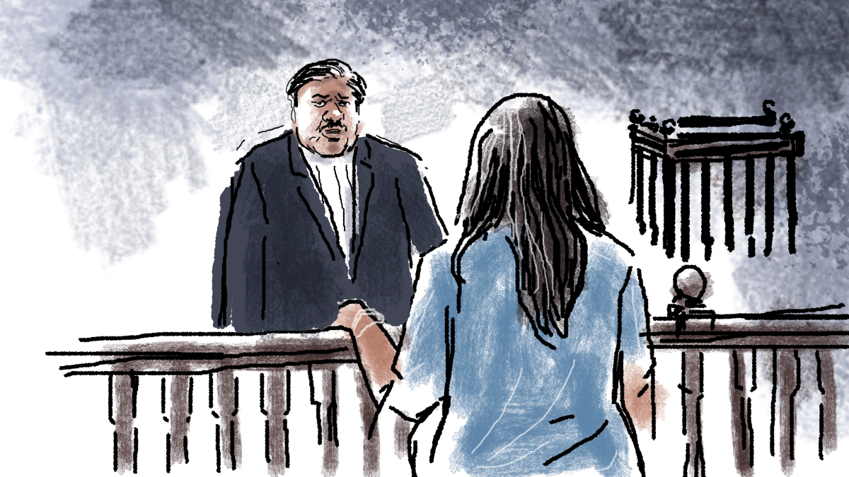 Sheena Bora Trial