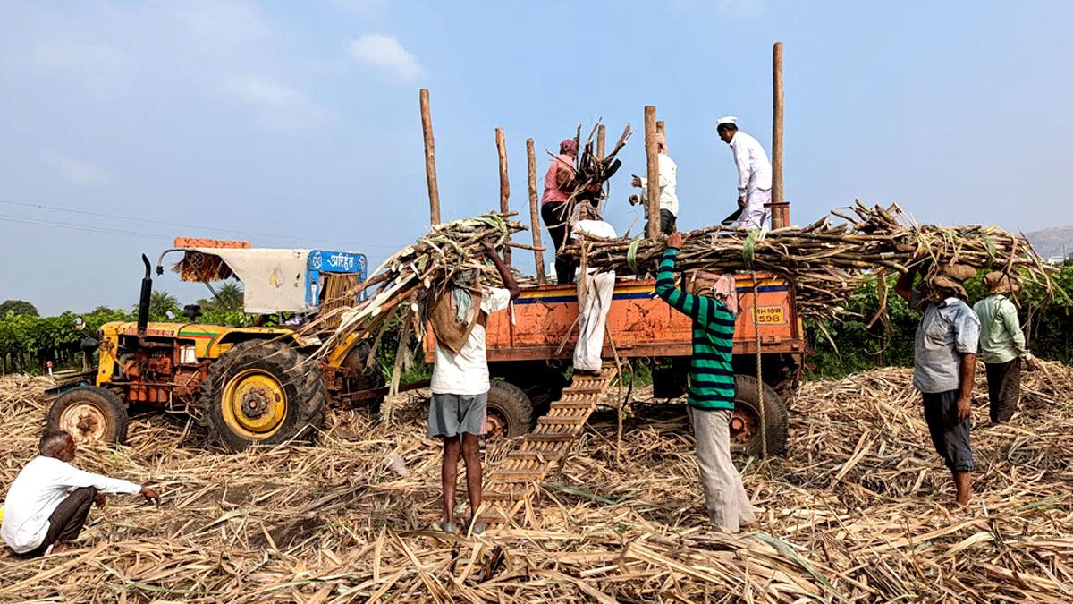 rediff.com - Rediff News - Sugar Mills Question High Retail Prices