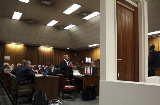 State prosecutor Gerrie Nel speaks during the trial of Olympic and Paralympic track star Oscar Pistorius in the North Gauteng High Court in Pretoria