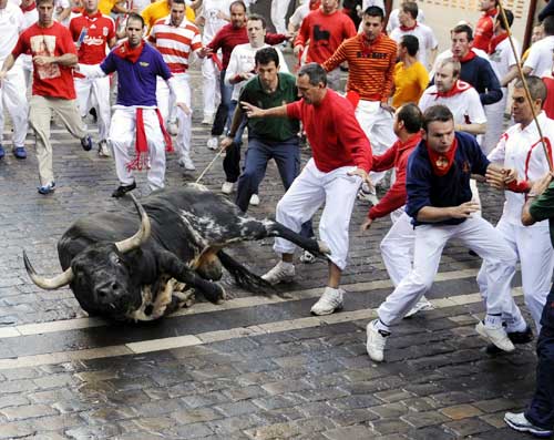 A Dolores Aguirre fighting bull falls on the Estafeta corner on the fifth day of the bull run festival
