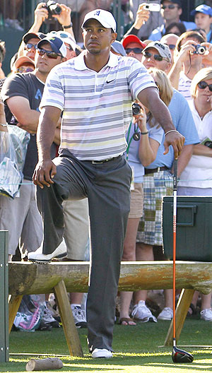 tiger woods