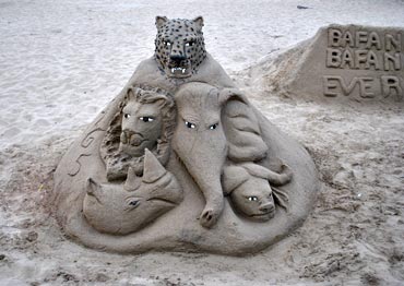 Sand carvings of SA's popular animals