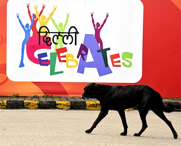 A stray dog trots past a banner installed on a roadside near the Commonwealth Games village in New Delhi