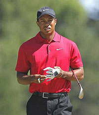 tiger woods