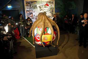 A monument of the octopus Paul is presented at the Sea Life aquarium in the western German city of Oberhausen