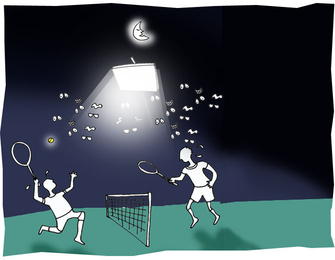 Night matches were first played in 1975