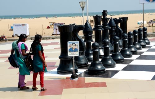 Fans watch a chess board at Marina Beach