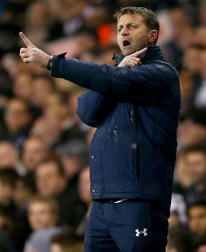 Spurs manager Sherwood calls Dnipro pitch a disgrace