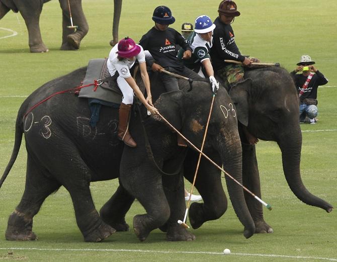 Elephant polo