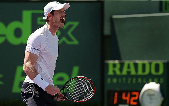 Andy Murray celebrates a point against Tomas Berdych